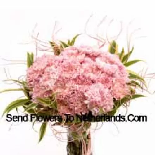 Bunch Of 25 Pink Carnations With Seasonal Fillers