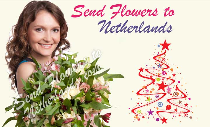 Send Flowers To Netherlands